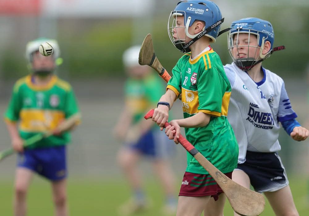 PHOTO-2025-02-02-17-39-45 (1)