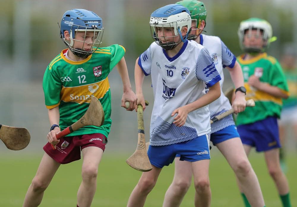 PHOTO-2025-02-02-17-39-45 (2)