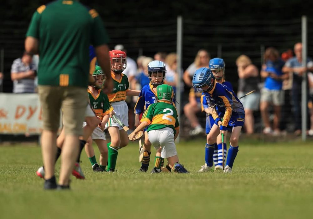 PHOTO-2025-02-02-17-39-47 (4)