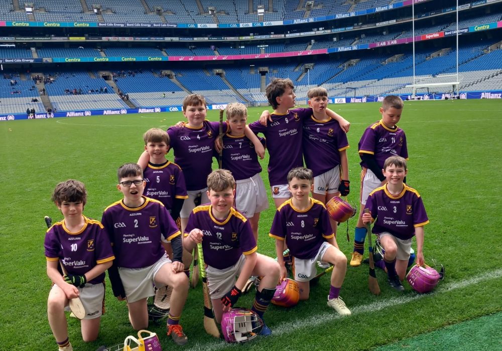 WhatsApp Image 2025-05-27 at 6.22.22 PM (3)